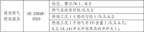 商用燃?xì)饩邫z測項(xiàng)目1